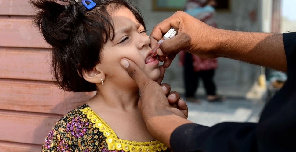Eradicarea poliomielitei ar putea fi posibilă prin administrarea combinată a două vaccinuri