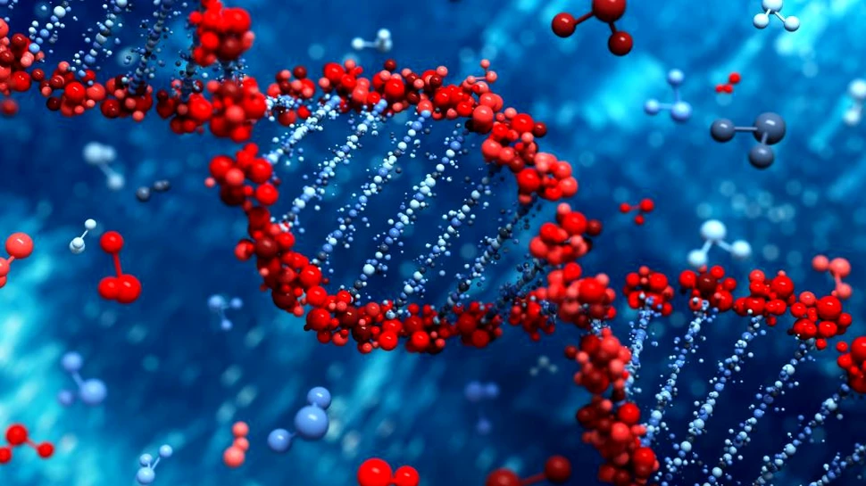 Doctorii au reconstruit 80% din pielea unui băiat cu ajutorul celulelor modificate genetic