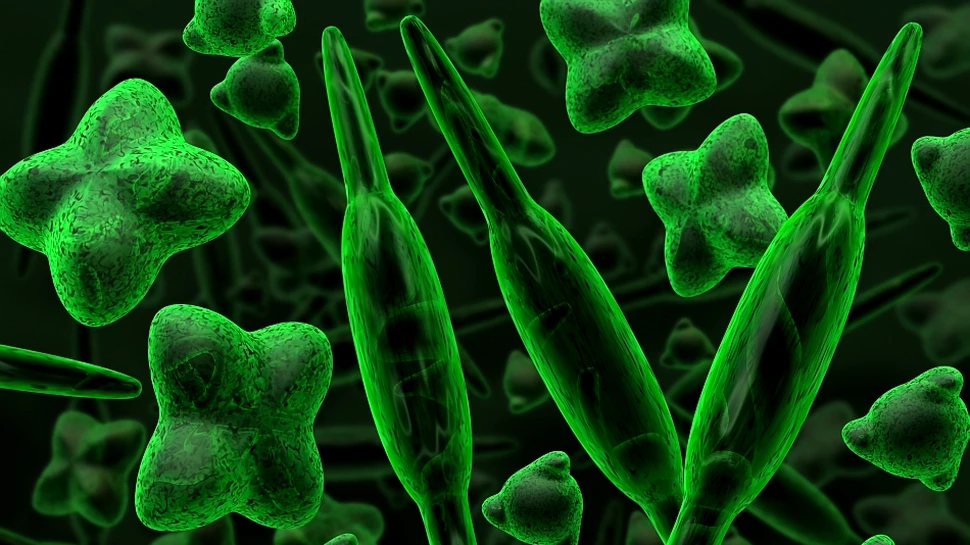 Oamenii de ştiinţă au descoperit o nouă cauză a încălzirii globale