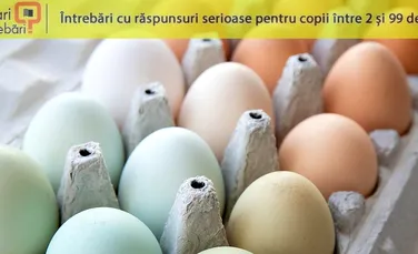 De ce ouăle de găină au culori diferite?