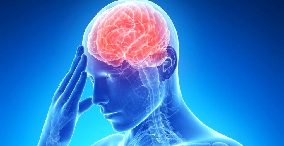 Un nou medicament ar putea repara leziunile de pe creier produse de accidentele vasculare cerebrale