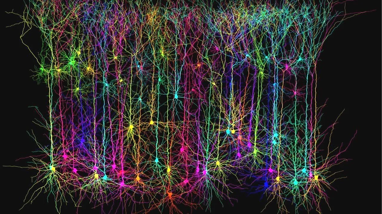 1-neuroni 
