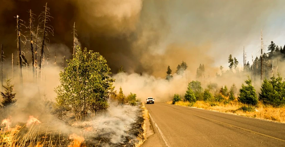 Fumul de la incendiile de vegetație ar putea contribui la răspândirea bolilor infecțioase