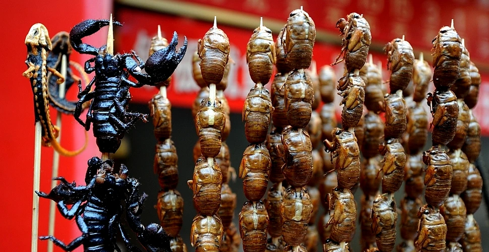 Organizaţia Naţiunilor Unite are o soluţie pentru criza obezităţii: „Mâncaţi insecte!”