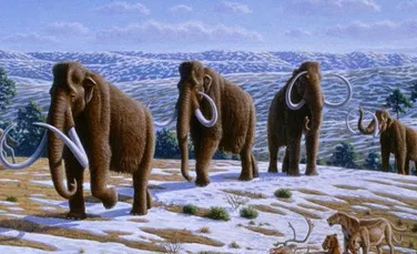 Ce-are a face incalzirea climei cu vanatoarea de mamuti?