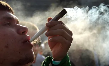 De ce devin mai leneşi consumatorii de marijuana? Un nou studiu a descifrat misterul