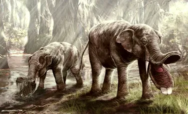 Creaturi bizare din trecut: a existat un elefant cu o “lopată” în loc de trompă?