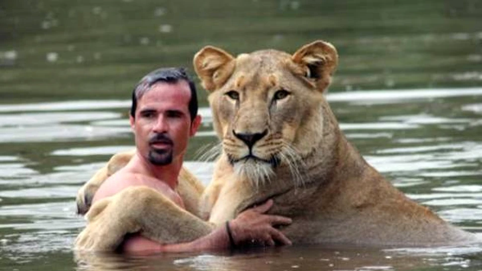 Leii si hienele au un prieten comun (Foto)