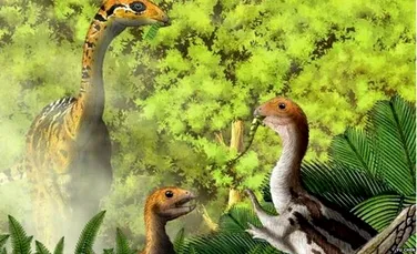 Evoluţia INCREDIBILĂ  a unei specii de dinozauri ,,La nicio altă fosilă a unei vertrebrate nu a fost observată această particularitate”