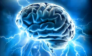 Cele mai controversate teorii despre creierul uman. Creierul sugarilor este plin de canabis?