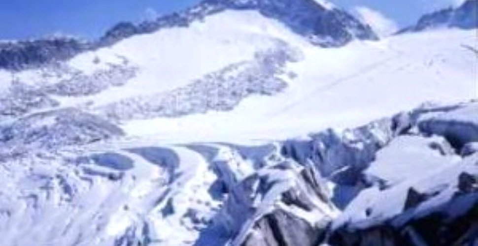 Ghetarii alpini sunt pe cale de disparitie