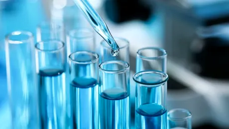 Test de cultură generală. Care este diferența dintre in vivo și in vitro?
