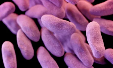 ”Bacteria de coşmar” se răspândeşte în spitalele din Statele Unite. Niciun antibiotic nu are efect asupra ei şi este greu de detectat