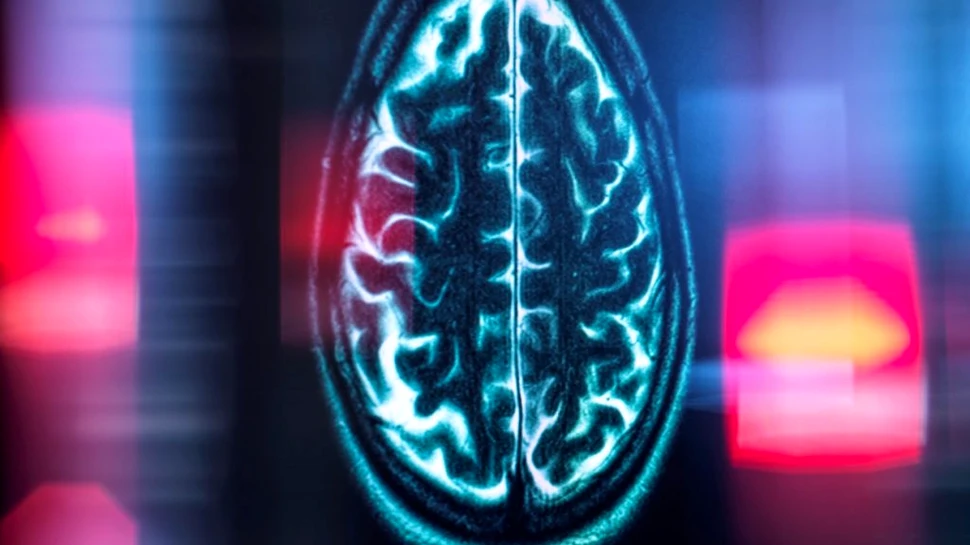 Proteinele anormale din intestine joacă un rol important în evoluția Alzheimerului