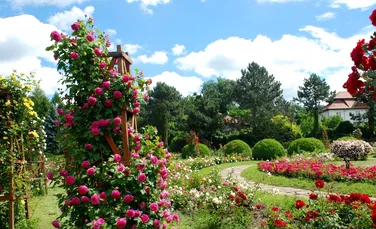 Prima grădină botanică din România
