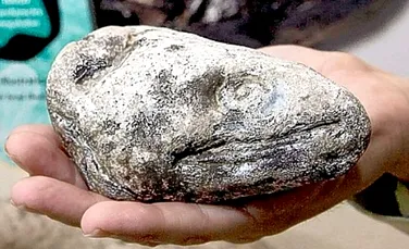 O fosila preistorica, folosita ca decoratiune de gradina