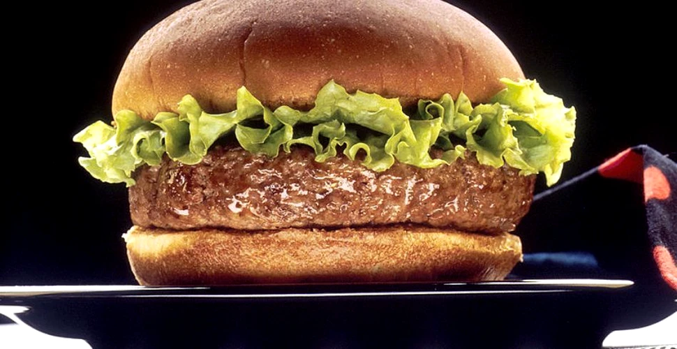 Hamburger-ul din carne „crescută” în laborator va fi gata în acest an