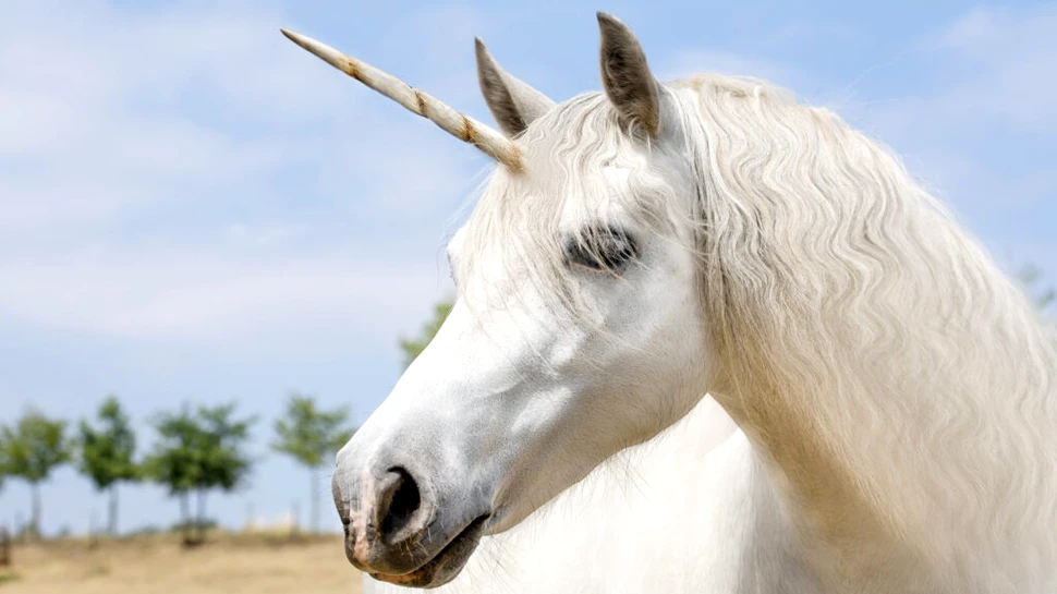 Mit sau realitate. Care este povestea unicornului?
