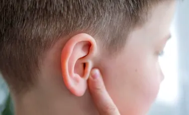 Test de cultură generală. Care parte a corpului uman nu are niciun scop biologic?