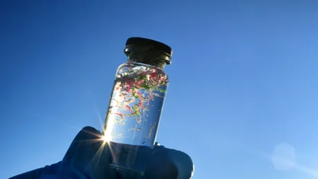Oamenii de știință au creat alge care ar putea elimina microplasticul din apa potabilă