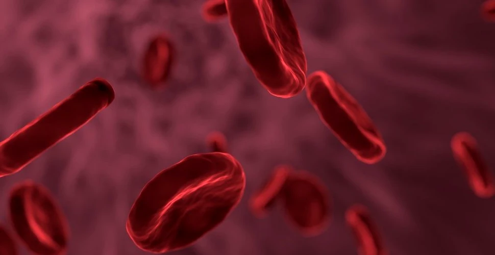 A fost descoperit mecanismul din spatele celor mai severe cazuri ale unei tulburări sangvine comune