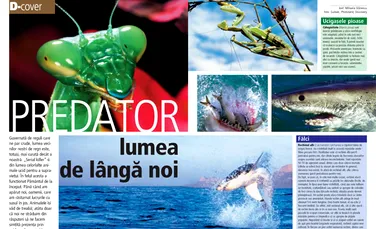 Predator lumea  de langa noi