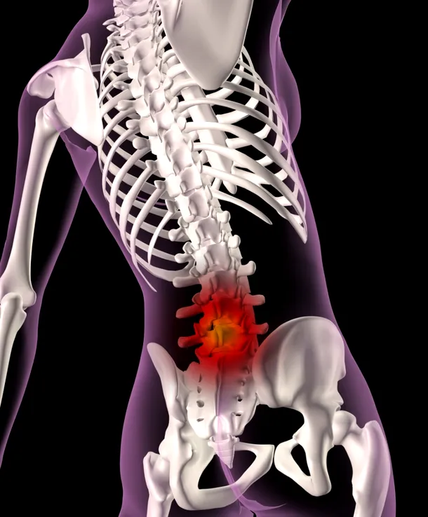 Coloana vertebrală nu este pe deplin adaptată poziţie ortostatice şi mersului biped, de unde şi frecventele suferinţe ale acestei regiuni a corpului.