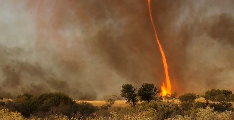 „Diavolul de Foc”, un fenomen foarte rar, a fost surprins în Australia de un cameraman (VIDEO)