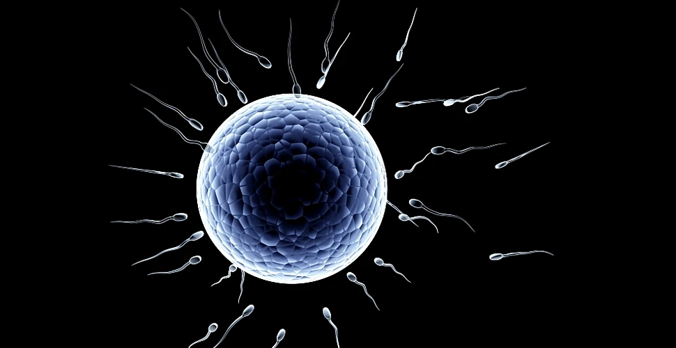 Revoluţie în contracepţie: a fost concepută prima pilulă non-hormonală pentru bărbaţi!