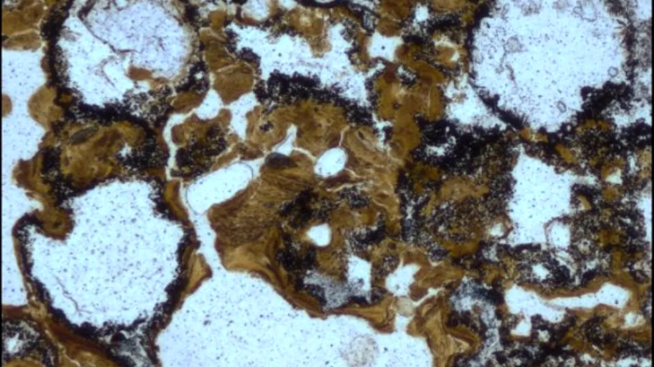 1-geotermal 