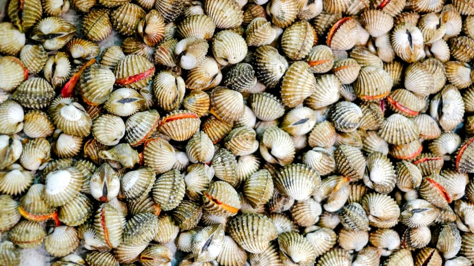 Cancerul se răspândește la crustacee de sute de ani