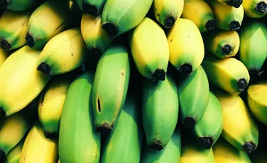 Dieta cu banane verzi te-ar putea feri de cancer? Da, în unele situații!