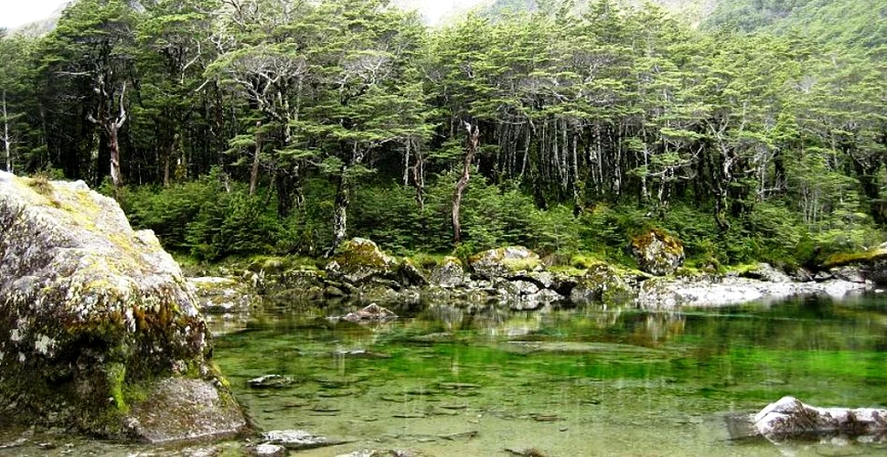 A fost descoperit cel mai limpede lac din lume