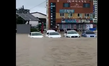 Coreea de Sud, lovită de taifunului Mitag. Cel puţin şapte morţi – VIDEO