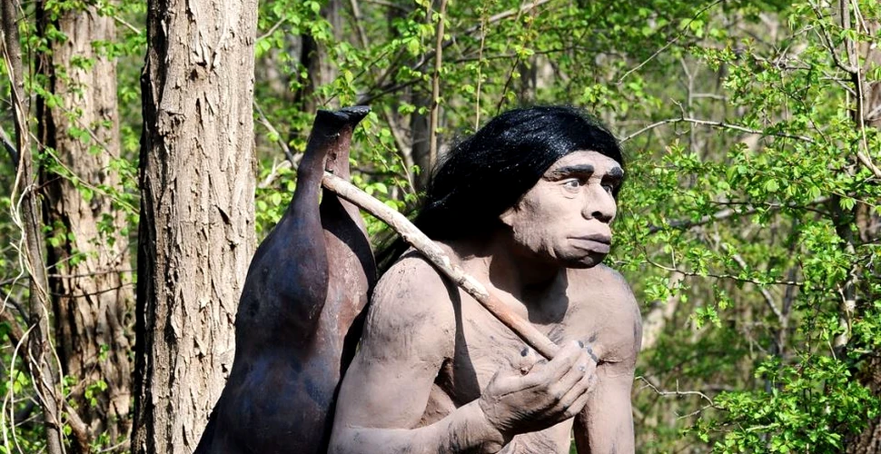 Neanderthalii sunt foarte apropiaţi de oameni, dar o particularitate iese în evidenţă