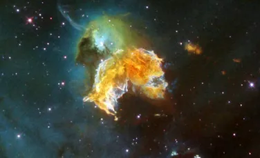 Teoria surprinzătoare a unor cercetători: o supernovă a dus la o extincţie în masă