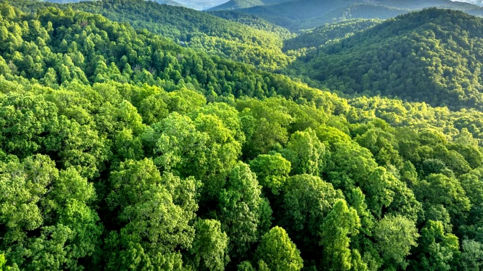Vacanța perfectă de toamnă: iată cele mai bune trasee de mers pe munte!