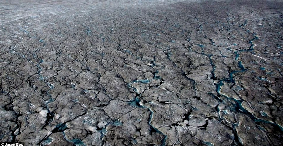 Ce se întâmplă cu planeta? Gheaţa neagră din Groenlanda îi şochează pe oamenii de ştiinţă