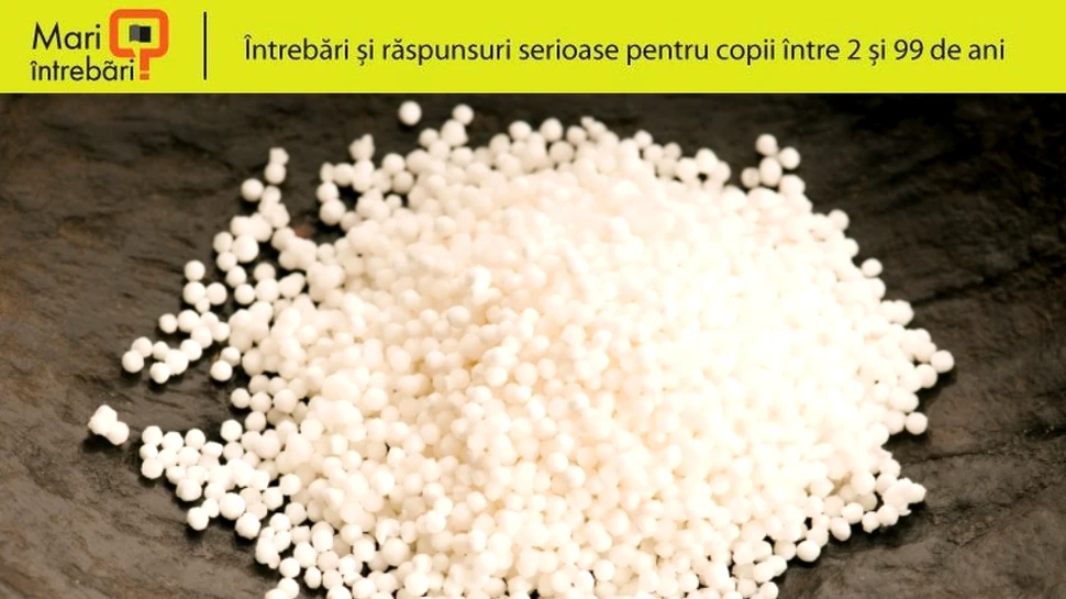 Ce este tapioca?