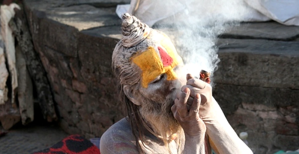 Sadhu-şii nepalezi nu mai au voie să vândă cannabis la temple