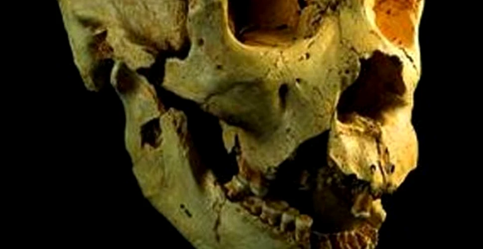 Actul vorbirii a aparut inaintea Omului de Neanderthal