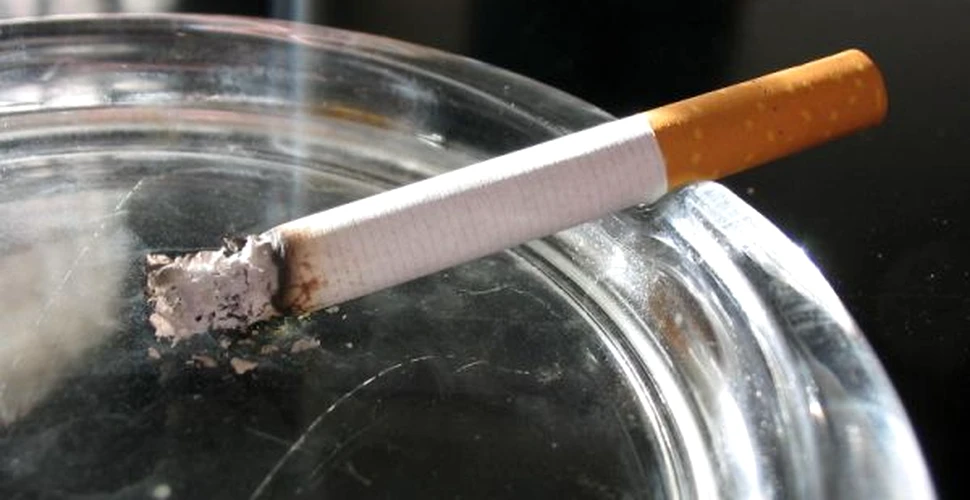 De ce doar o parte dintre fumatori se imbolnavesc de cancer?