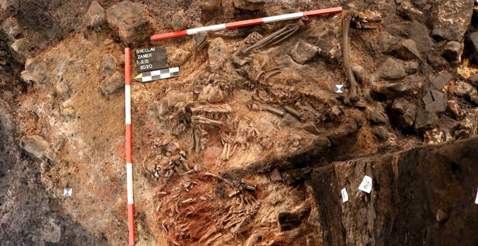Trei schelete descoperite în fundaţia unui castel din Cehia