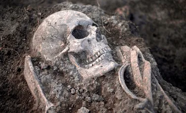 Sute de schelete medievale, descoperite sub un magazin din Țara Galilor