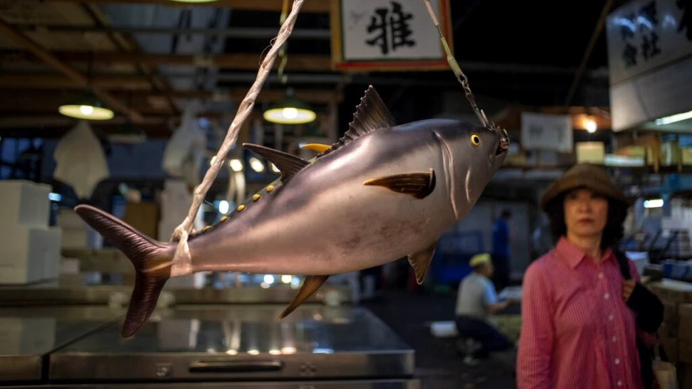 Record la licitația de pește de la Tokyo. Cât a plătit un japonez pentru un ton roșu uriaș?