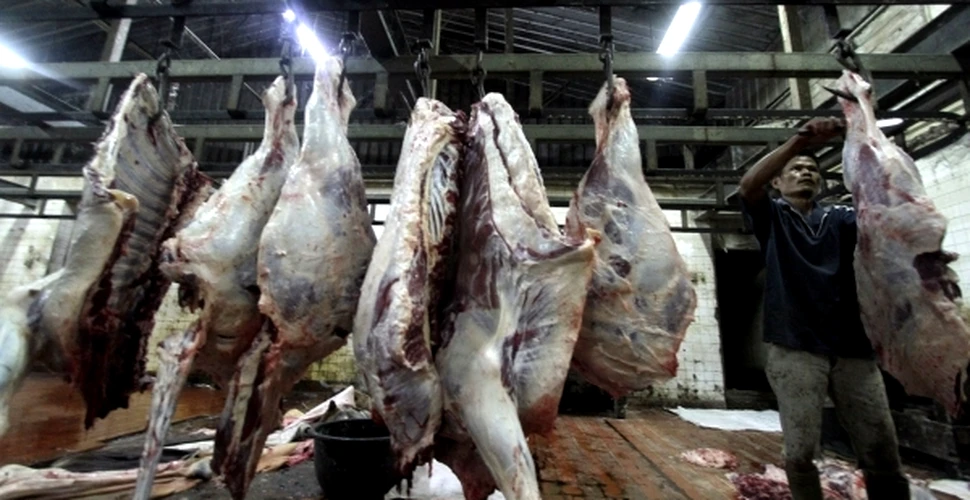 Carnea crescută în laborator, o soluţie pentru încălzirea globală?