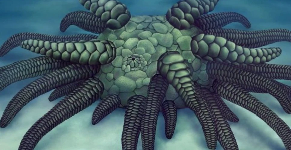 Fosila unei creaturi bizare găsită pe fundul mării pare desprinsă din literatura horror
