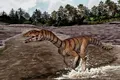 O specie bipedă și fără dinți este o rudă din Triasic a crocodilului
