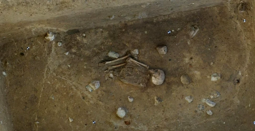 Un schelet de peste 4.000 de ani descoperit în Germania