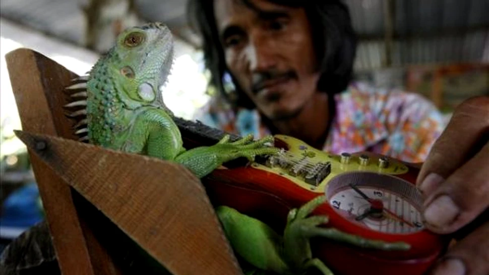 Un mexican a pus într-un rucsac 11 iguane. Ce s-a întâmpat când a ajuns la graniţă